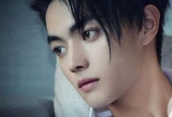 扒姐爆料王凯是谁啊视频,王凯身份大揭秘，视频爆料引热议