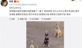 爆料杨紫和成毅的视频,甜蜜瞬间引网友热议