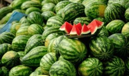 14岁小网红吃瓜,揭秘网络世界的酸甜苦辣