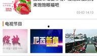 肥西女婿爆料视频播放网站,揭秘背后惊人真相