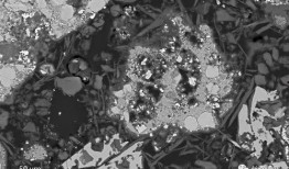 古墓丽h版在线观看,探寻神秘古墓的惊险之旅