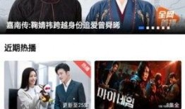 惊天爆料热闻视频下载,惊天爆料！热闻视频下载背后的惊人真相揭秘