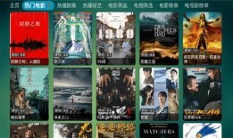 分类电影在线观看,分类电影在线观看指南