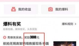 今日头条爆料新闻视频,揭秘重大新闻事件背后真相！