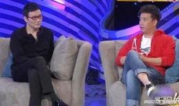 娱乐大爆料黄磊视频,娱乐大爆料背后的真实故事