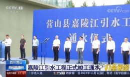 营山新闻爆料最新消息