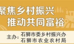 农村媒体爆料案例最新视频,视频揭露惊人真相