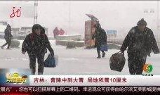 西藏热点爆料新闻视频,揭秘神秘事件背后的真相