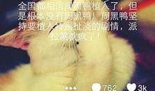 微博最新爆料周黑鸭事件,微博最新爆料引关注