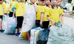 宁波小学爆料事件最新,揭开校园安全与管理的隐秘面纱