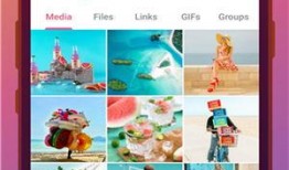 手机tg看动画官网最新版本爆料,揭秘全新版本震撼来袭！