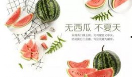 潍坊吃瓜网红是谁啊