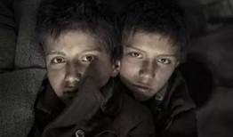 恶童日记在线观看,揭开校园霸凌的黑暗面