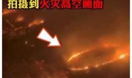 军情六处爆料视频大全,独家爆料视频大全深度解析