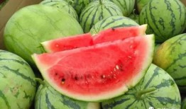 今日吃瓜免费吃瓜爆料两年半