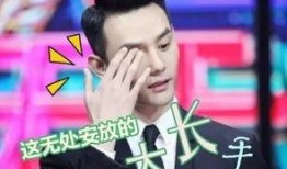 扒姐爆料王凯是谁啊视频,王凯身份大揭秘，视频爆料引热议