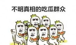 都是吃瓜惹的祸免费阅读,一场意外的网络狂欢
