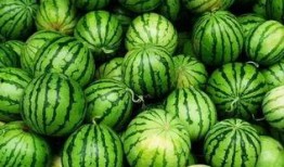 为什么总有免费的吃瓜群,揭秘免费吃瓜群的奥秘与吸引力