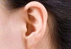 耳朵耳在线观看,探索耳朵耳在线观看的视听之旅