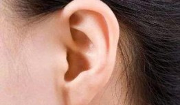 耳朵耳在线观看,探索耳朵耳在线观看的视听之旅