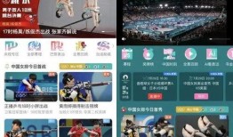台媒最近爆料视频播放网站,视频播放网站背后惊人内幕曝光