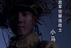 侦察记在线观看,揭秘神秘任务背后的惊心动魄