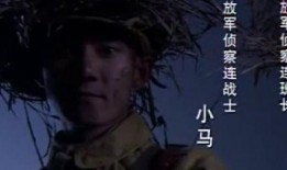 侦察记在线观看,揭秘神秘任务背后的惊心动魄