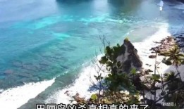 巴厘岛命案外网爆料视频,真相与疑云交织的惊悚现场