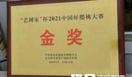 门徒娱乐大爆料视频播放,揭秘幕后真相，视频播放引发热议