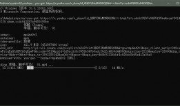 爆料黑科技的视频大全下载,视频大全中的前沿科技解析与下载攻略
