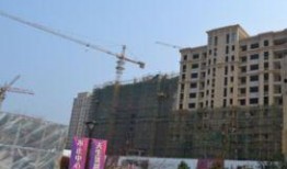 正东中央公馆新闻爆料视频,揭秘神秘项目背后的故事