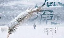 白鹿原52集在线观看,揭秘家族纷争背后的秘密
