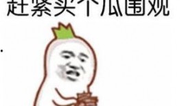吃瓜群众txt免费下载,一场网络狂欢背后的真相