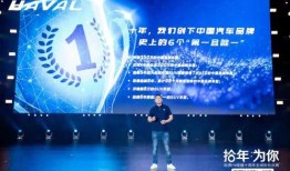 成都十周年爆料新闻,回顾辉煌历程，展望未来蓝图