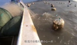 阿雄出海爆料视频,独家视频带你探秘海洋奇遇