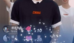 爆料贾乃亮复播视频在线观看,精彩瞬间回顾，网友热议