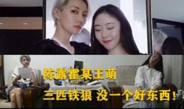 唐蔚华闺蜜爆料视频播放,视频播放引发热议