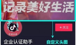 爆料视频置顶,爆料视频置顶背后的惊人真相