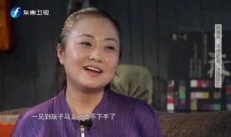 韩美林最新爆料视频,揭秘艺术界不为人知的背后故事