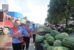 成县吃瓜网红事件真相揭秘,真相与误解的交织