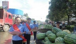 成县吃瓜网红事件真相揭秘,真相与误解的交织