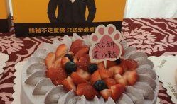 熊猫送蛋糕爆料视频大全,甜蜜瞬间尽收眼底