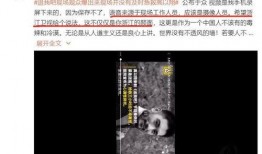陈小冉爆料新闻事件视频,视频曝光惊人内幕