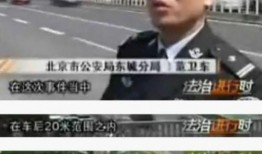 枫丹警察爆料视频,视频曝光背后的真相与内幕