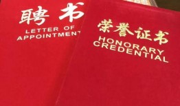 河南民生频道爆料新闻事件,揭开某重大民生事件真相