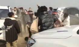 多人停车官方爆料视频,多人停车挑战背后的惊险瞬间