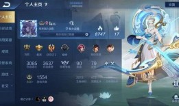 王者神偷伽罗爆料视频,揭秘神秘技能与传奇冒险