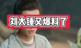 郑年轻大锤爆料视频,揭秘背后惊人真相