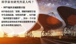 沈阳月亮爆料视频完整版,揭秘事件背后惊人真相