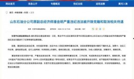 山东爆料最新消息视频大全,热点事件大盘点